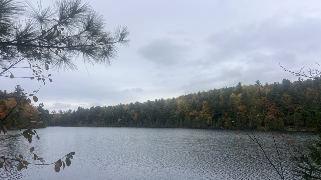 秋日粉湖